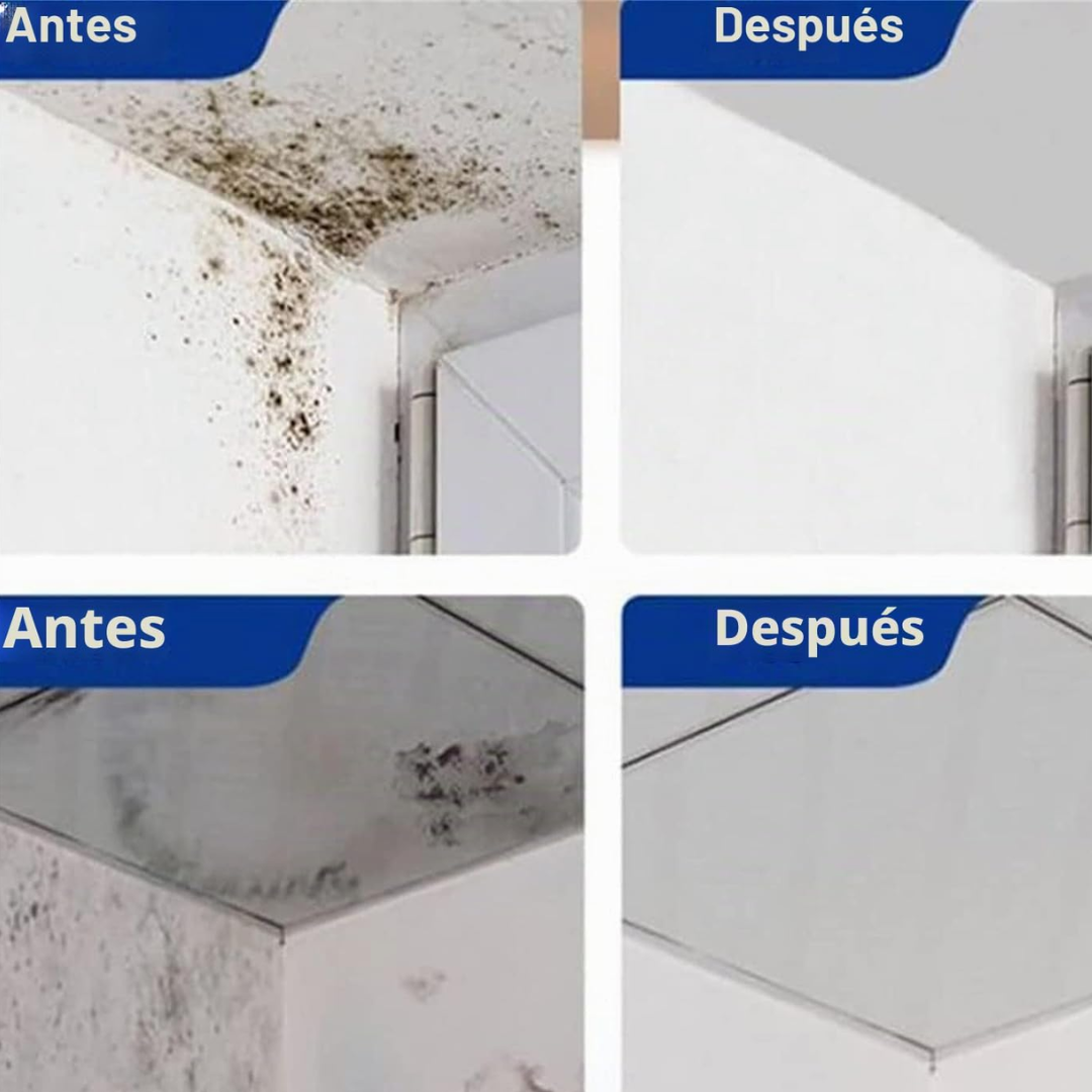 FueraMoho – Removedor de Manchas de Moho