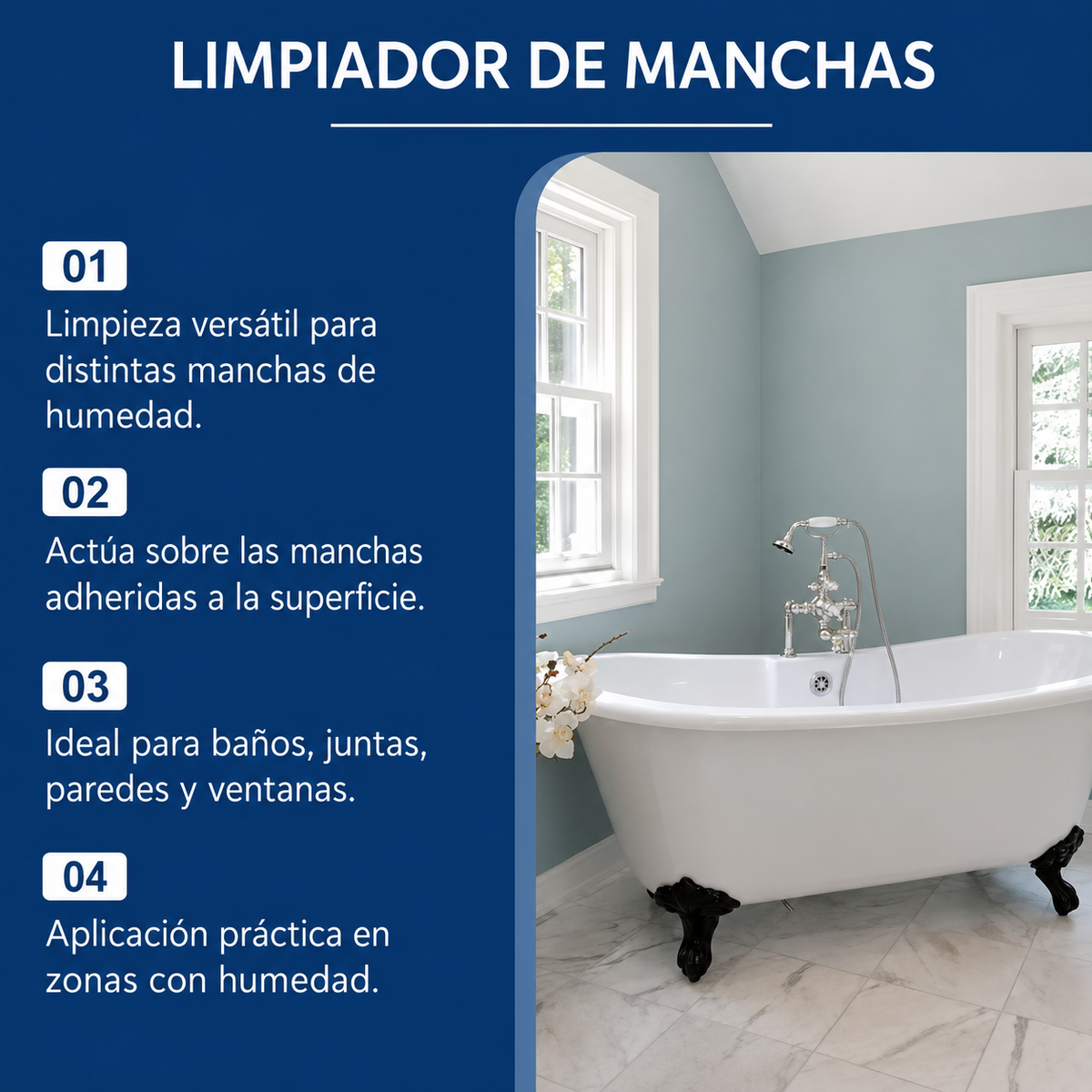 FueraMoho – Removedor de Manchas de Moho